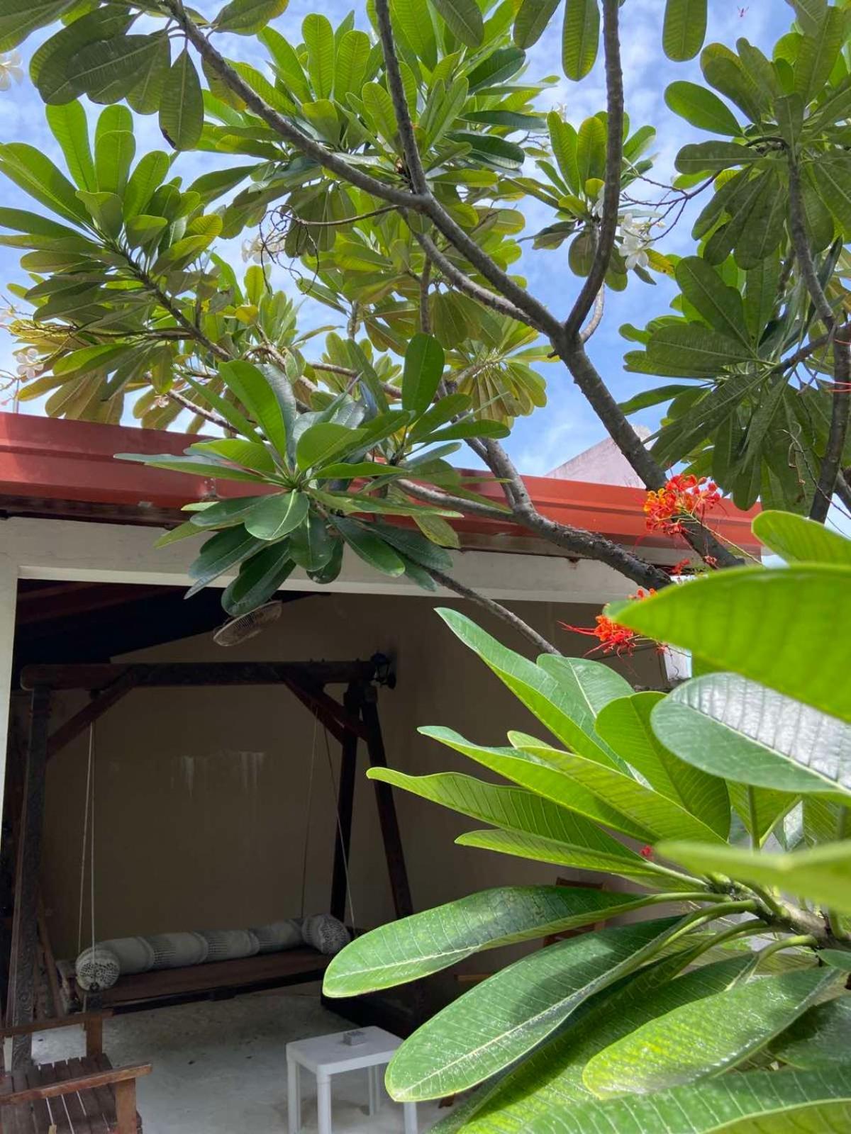 Cerulean View Residence Hanimaadhoo Island Eksteriør bilde