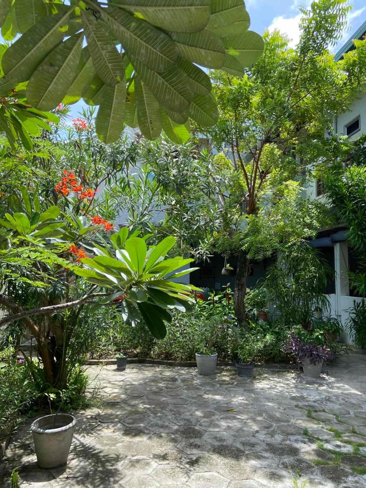 Cerulean View Residence Hanimaadhoo Island Eksteriør bilde