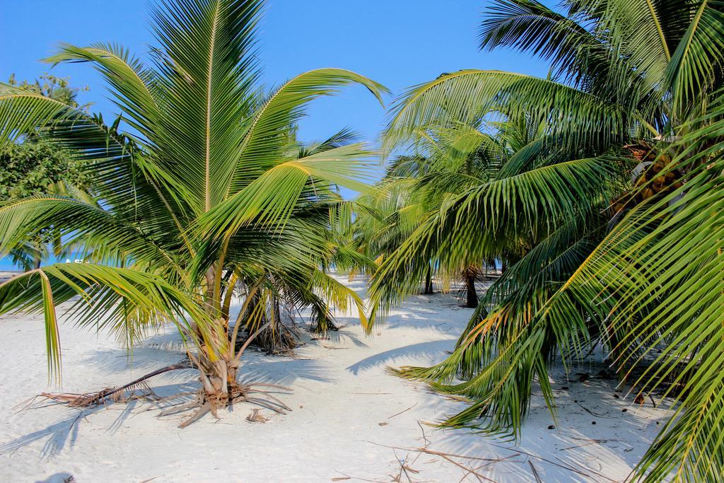 Cerulean View Residence Hanimaadhoo Island Eksteriør bilde
