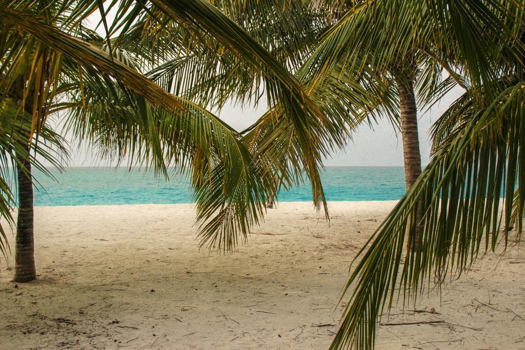 Cerulean View Residence Hanimaadhoo Island Eksteriør bilde